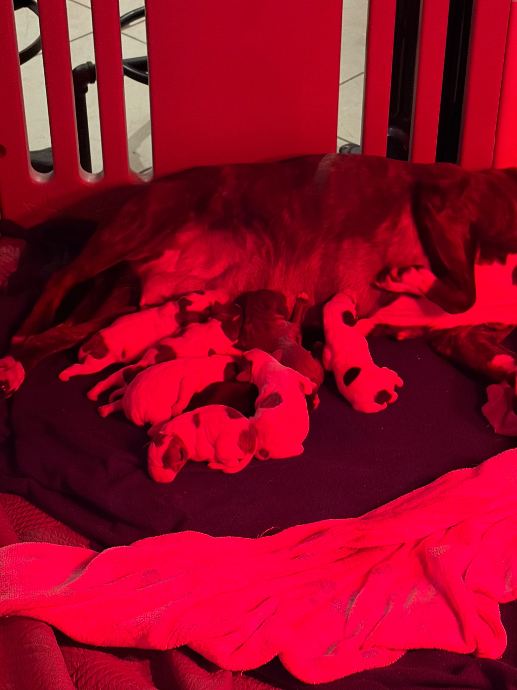 Naissance du 10 février 2026